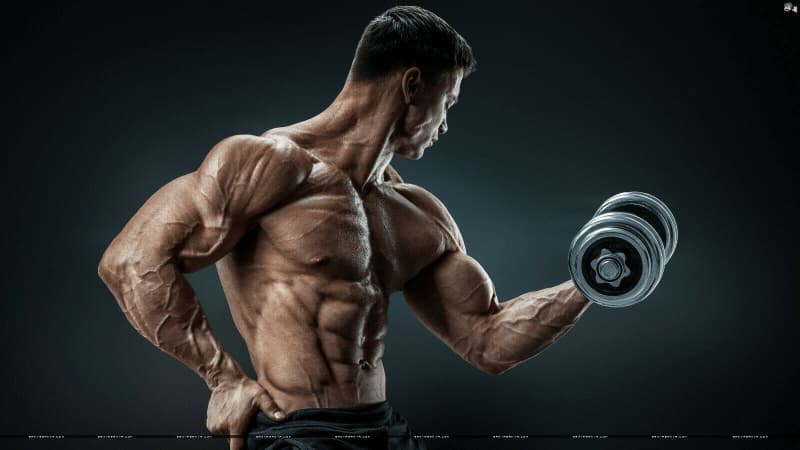 هایپرتروفی عضلانی چیست؟